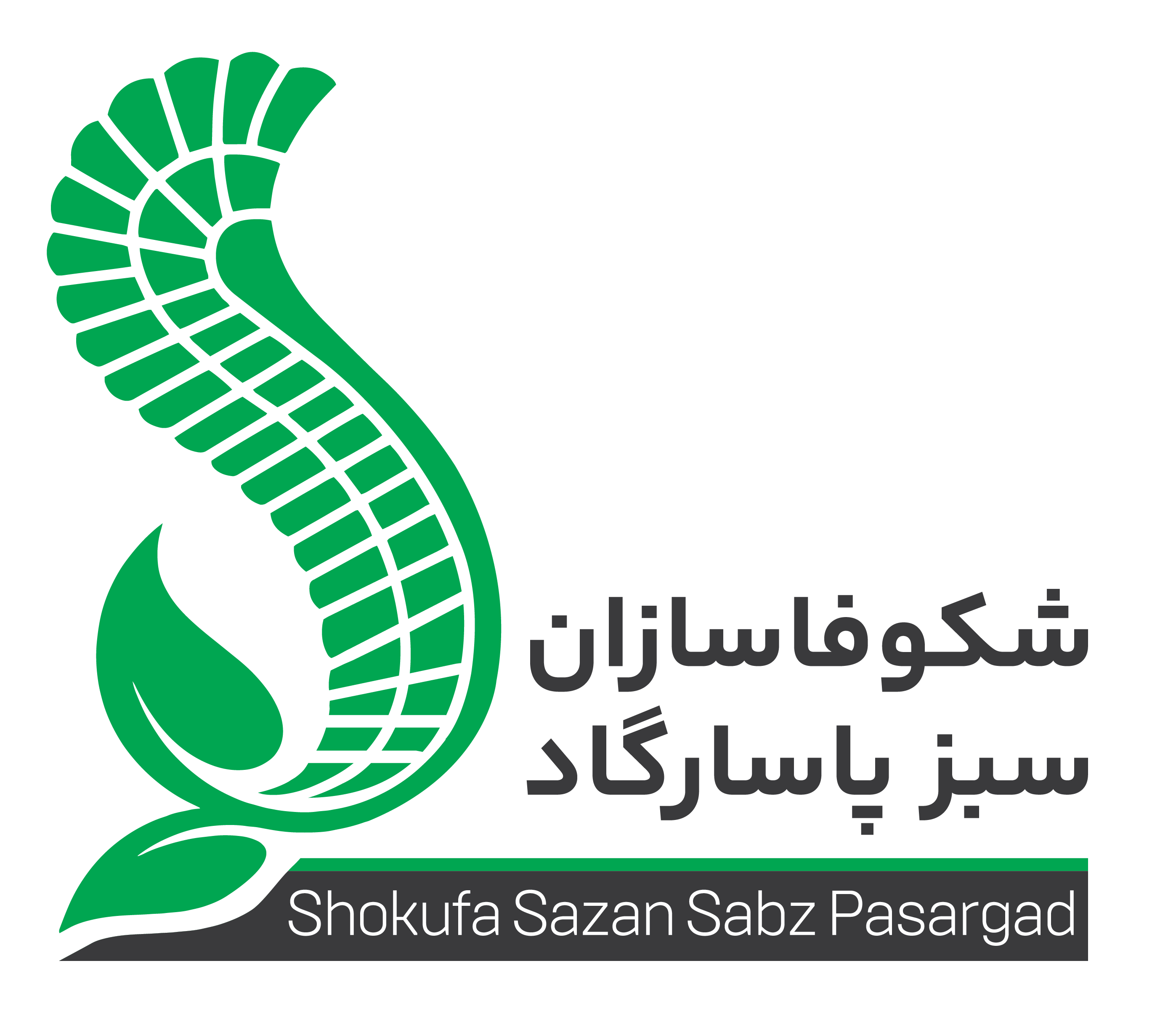 Shokufa Sazan Sabz Pasargad